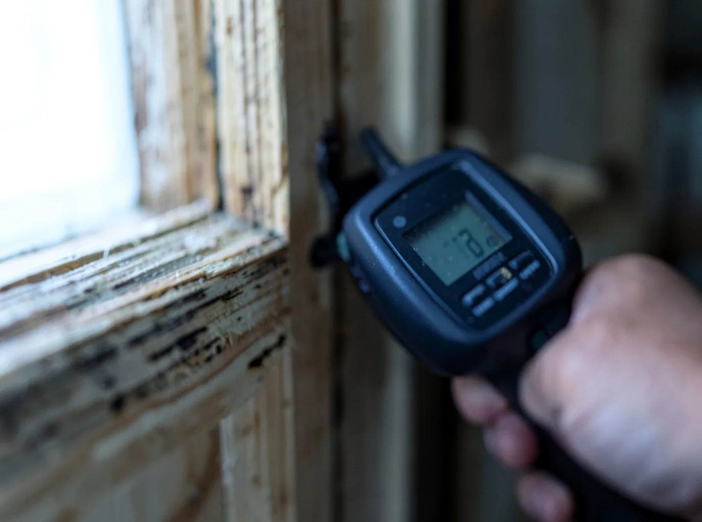 Moisture Inspection And Documentation in Maineville, OH